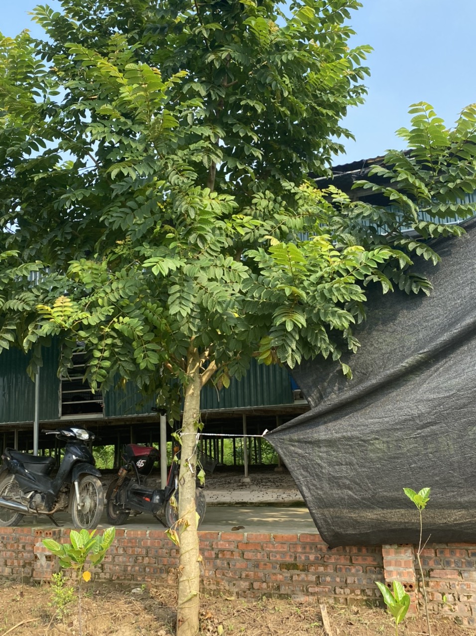 z3842826388548_944f2022ebc8ef69ed88b21c10feee6a