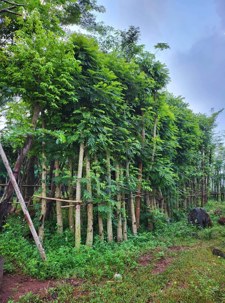 z4150876652197_63cc03f9af1e0d2da6bff593834f34b1