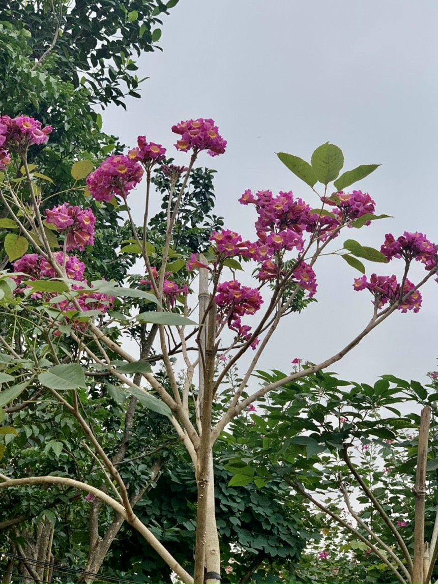 z4189186065723_986de3e65b401b59505bbddcf2688dcc