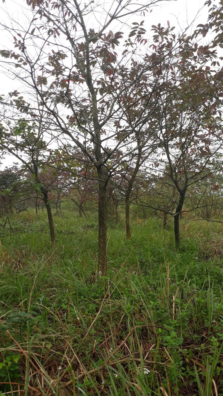 z4189276329818_3102b897b9887a2858042c95e2d4d23a