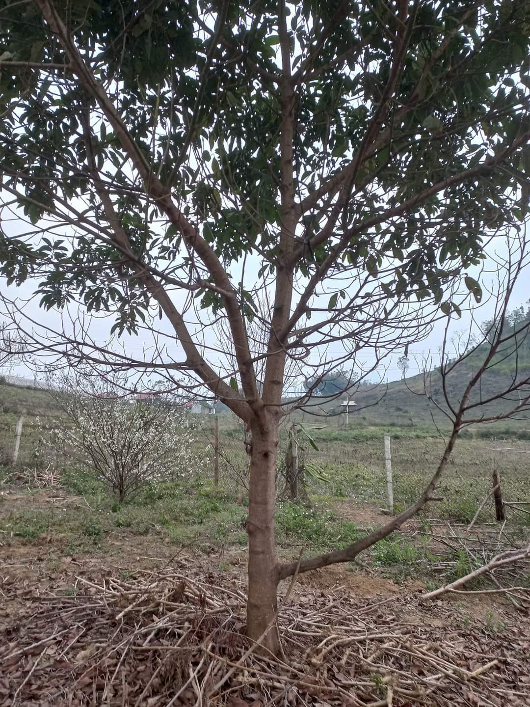 z4601730096742_d937c64b482a6e5f013ca673ede35e0d